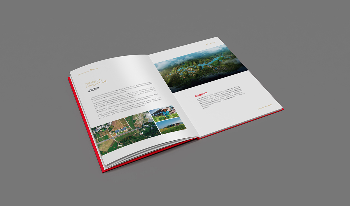 承翰集團(tuán)品牌形象塑造,二十周年畫冊(cè)設(shè)計(jì)_全力設(shè)計(jì)